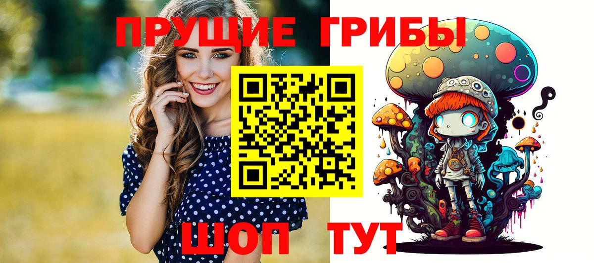 Галлюциногенные грибы Psilocybine cubensis  Вход с VPN  Карпинск  Галлюциногенные грибы мицелий 