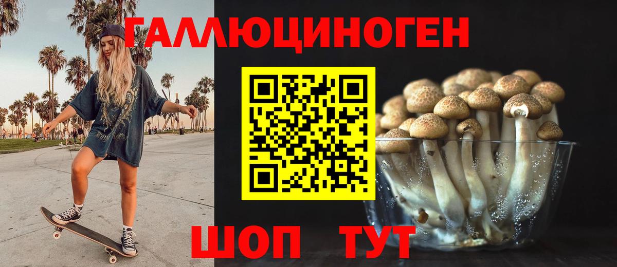 Галлюциногенные грибы Psilocybe Карпинск